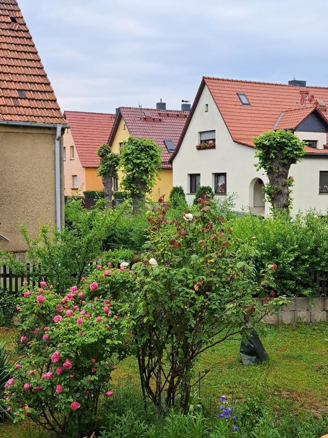 Rosengarten Appartement